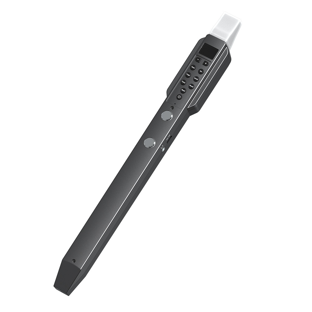 Small Transverse Flute Electro - Musical Instrument A Recorder recension och pris